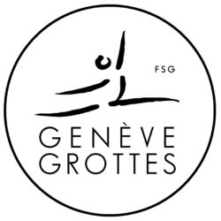 logo gymnastique FSG Genève Grottes